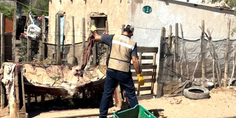 Elimina Salud Sonora más de un millón de criaderos potenciales de mosquito