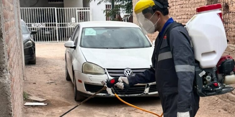 Refuerza Salud Sonora acciones contra la rickettsia con más de 2 mil 600 fumigaciones