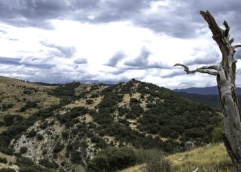 Impactará El Niño en la producción de alimentos de México, que registrará un verano inusualmente caluroso