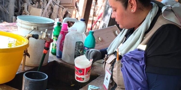 Llama Salud Sonora a reforzar medidas preventivas contra el dengue tras las lluvias