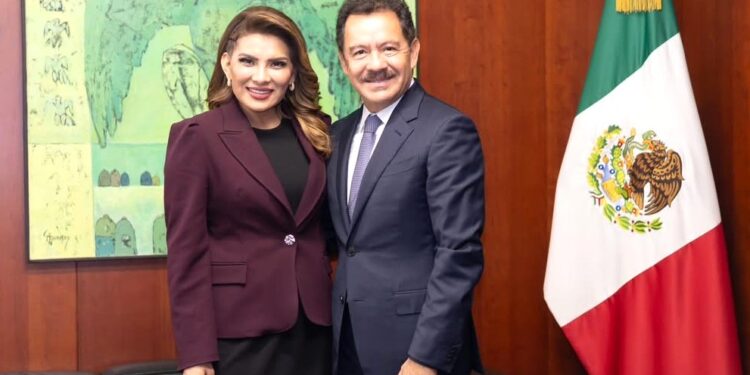 Lorenia Valles solicita licencia como senadora de la República
