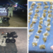 Asegura Mesa de Seguridad más de 1 millón de dosis de droga y detiene a 199 personas en Sonora