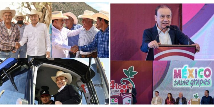 Durazo consolida a Sonora como líder en producción de uva de mesa