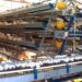 Producción de huevo en Sonora mantiene crecimiento sostenido y fortalece la seguridad alimentaria
